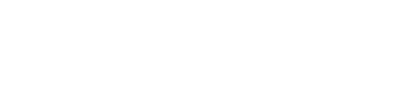 Get FAST WordPress Support